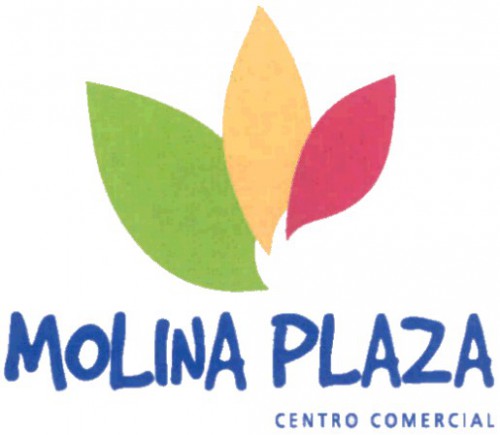 Logo Molina Plaza